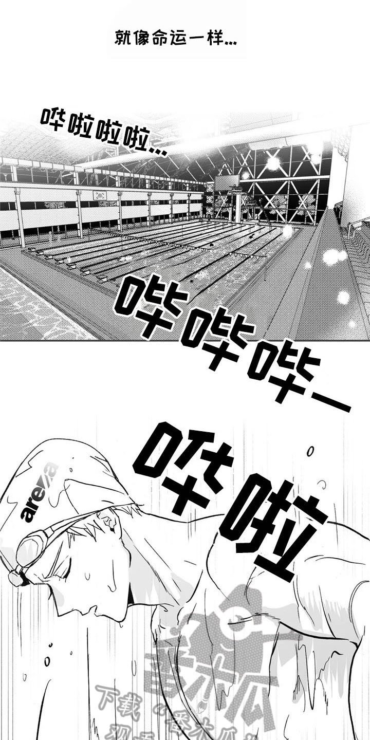 第6章：转好