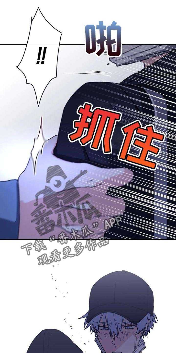 第62章：【第二季】口味变多了