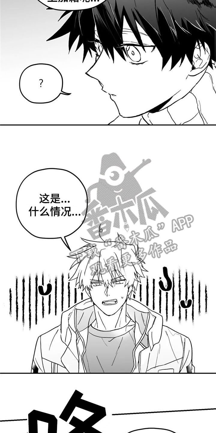第7章：打听