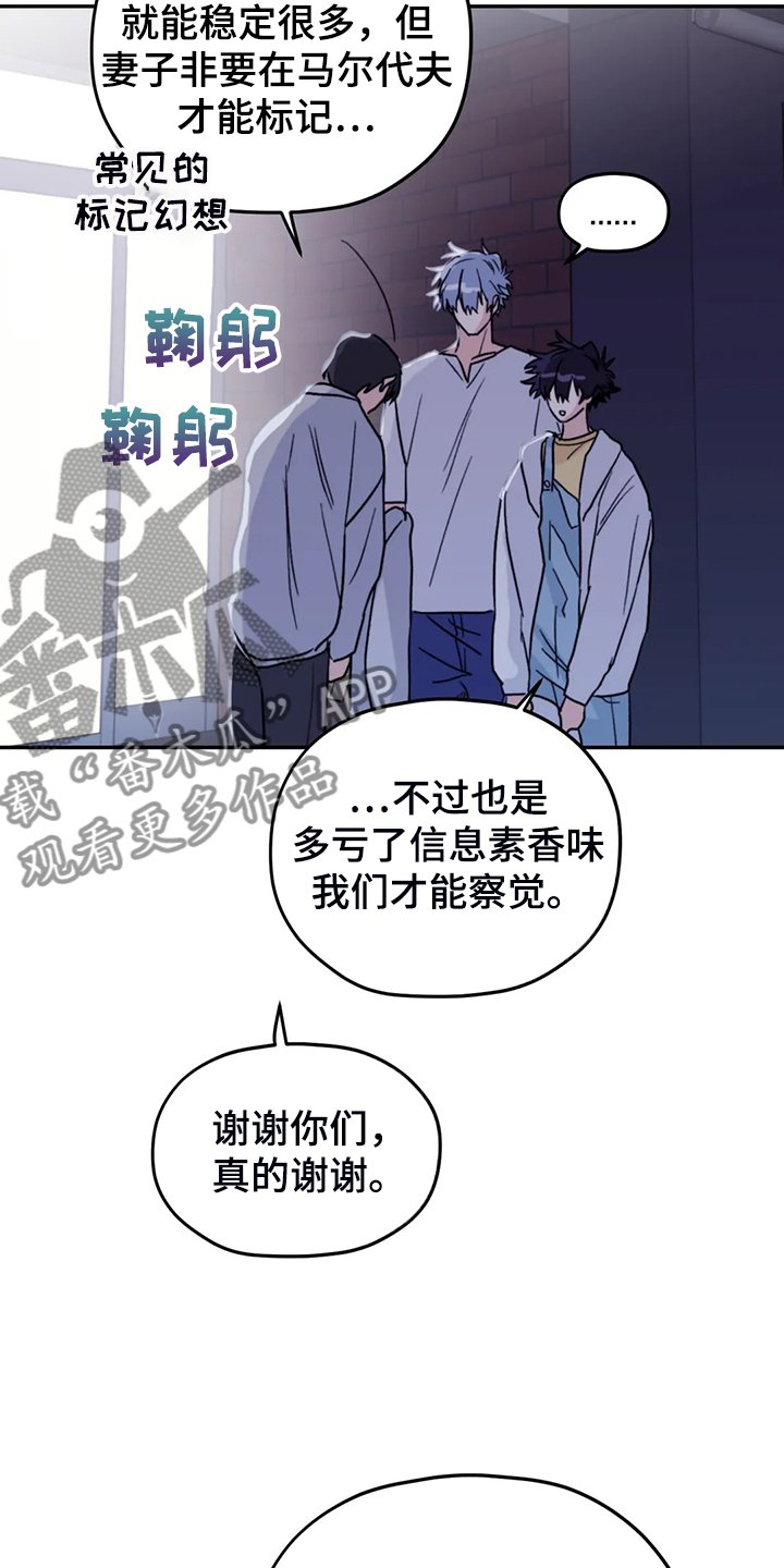 第77章：【第二季】加油啊，义铃！