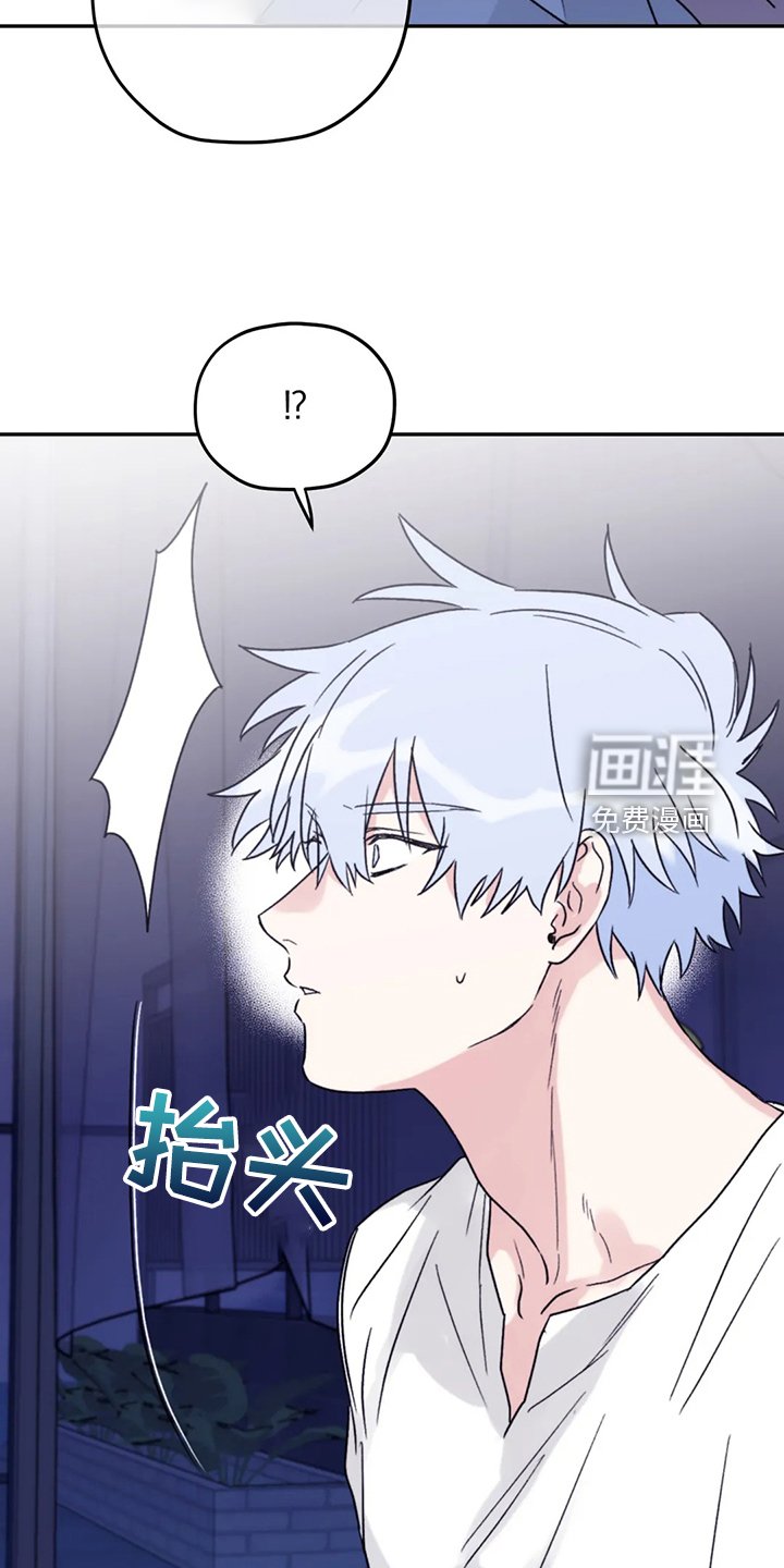 第78章：【第二季】等到奥运金牌