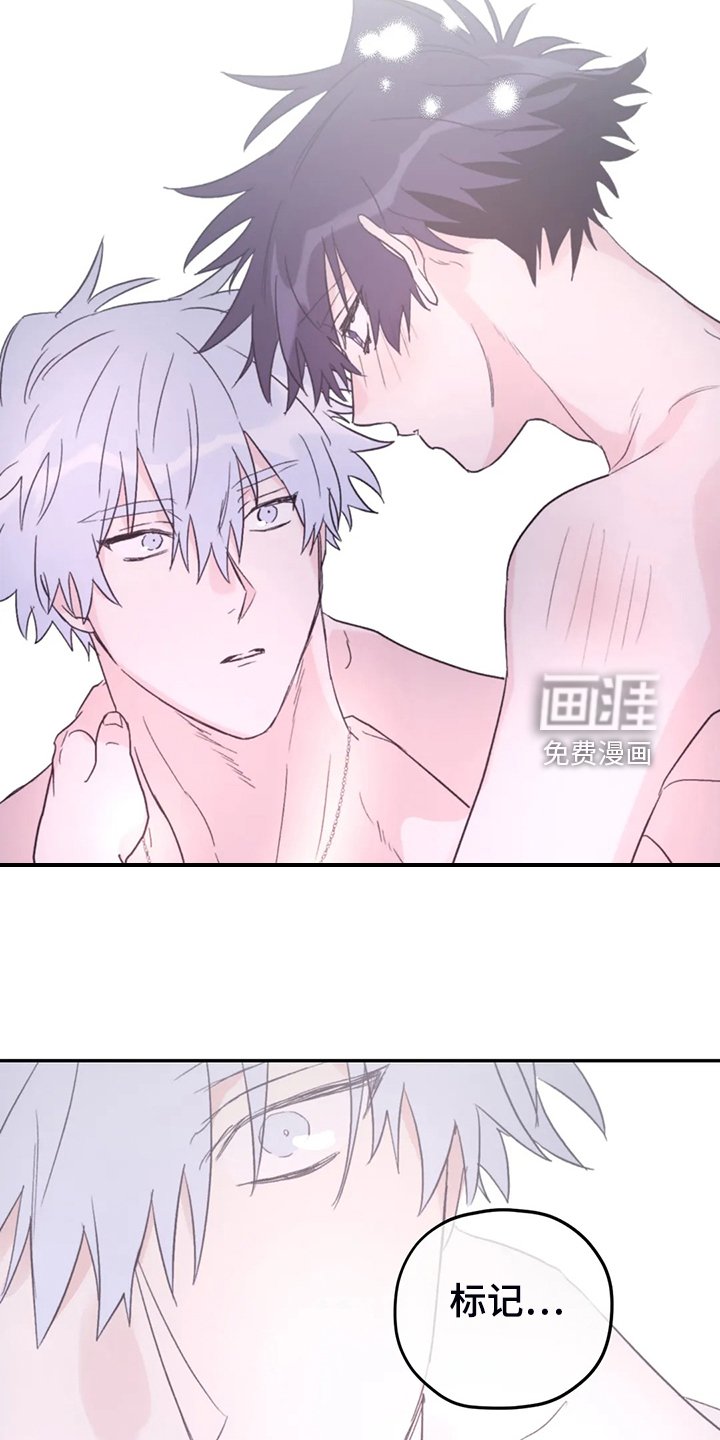 第78章：【第二季】等到奥运金牌