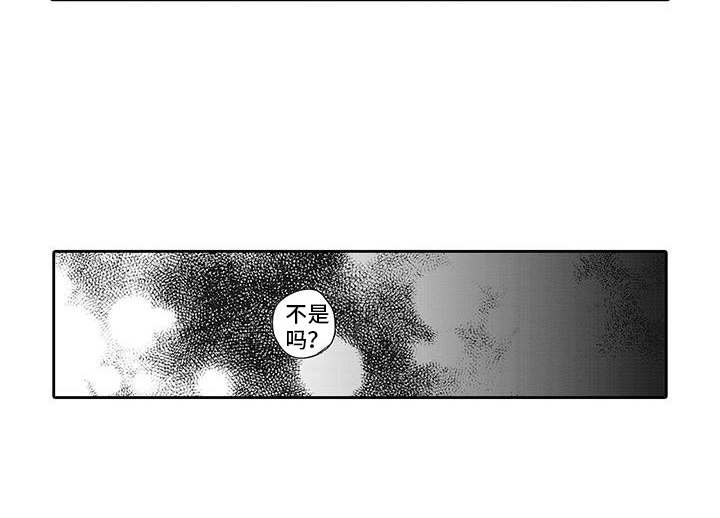 第6章：安慰