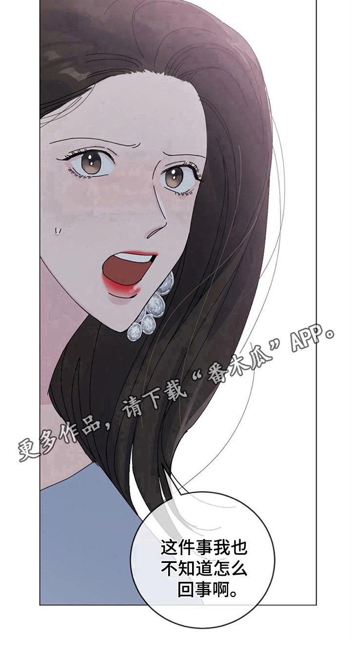 第13章：质问