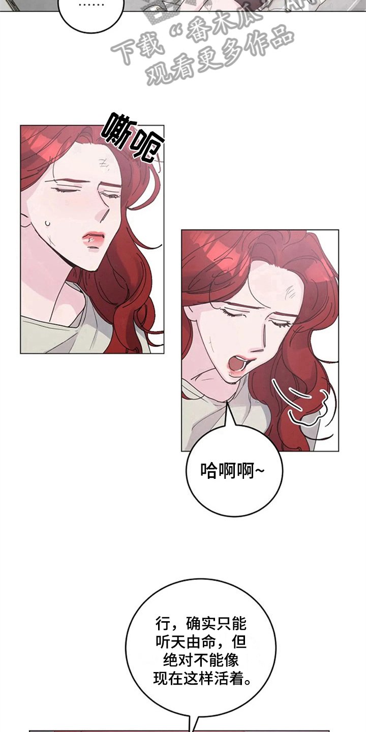 第21章：定规矩