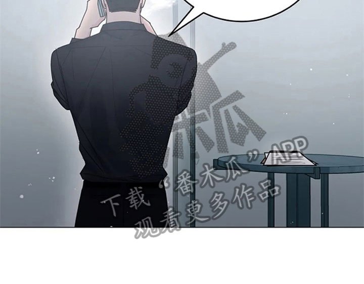 第29章：调查