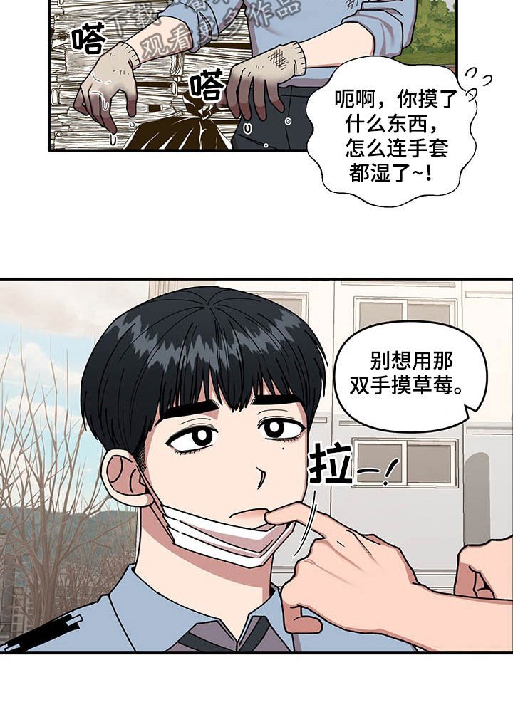 第19章：喂草莓