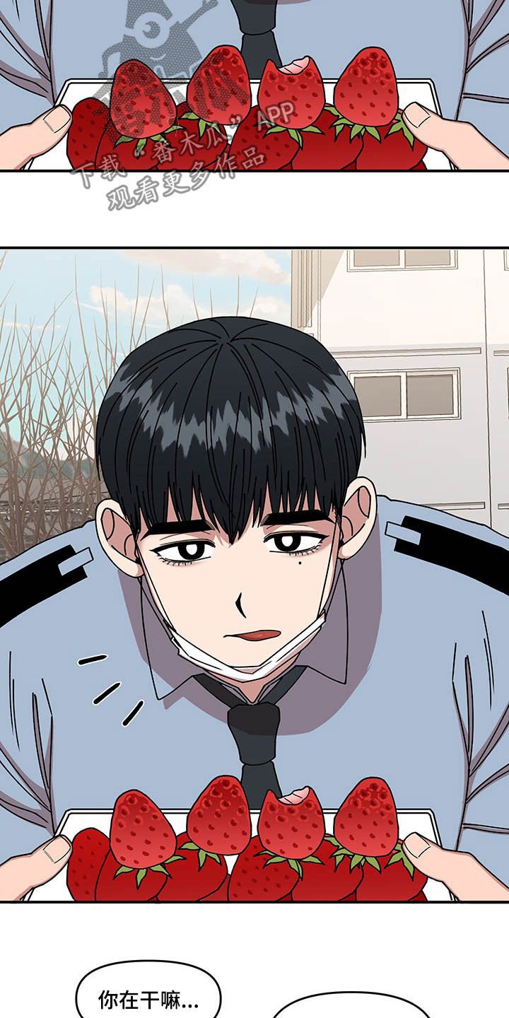第19章：喂草莓