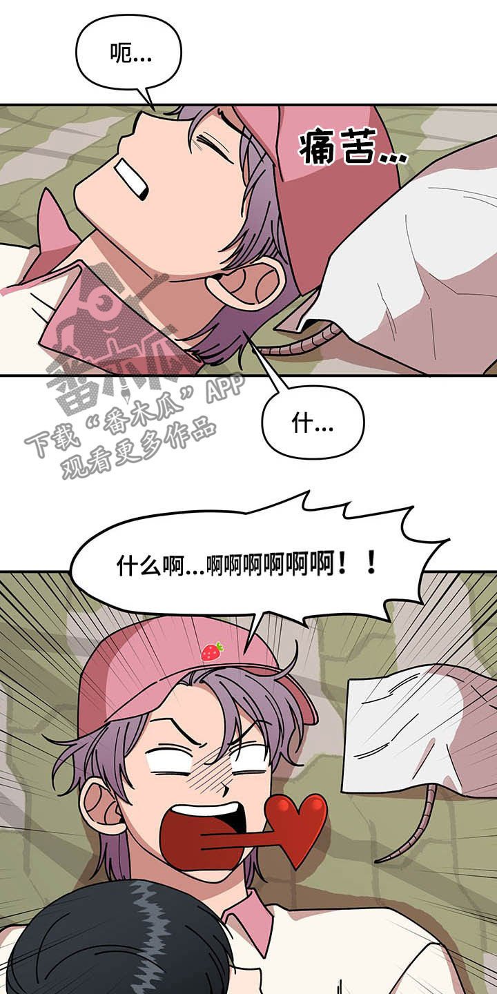 第20章：草莓爱好者