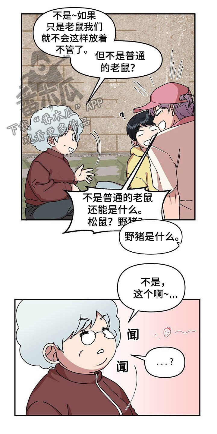 第20章：草莓爱好者