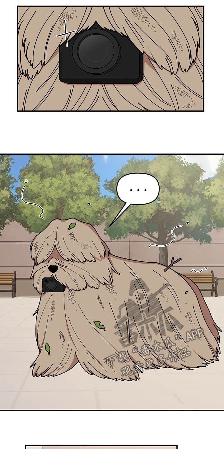 第24章：摄像机