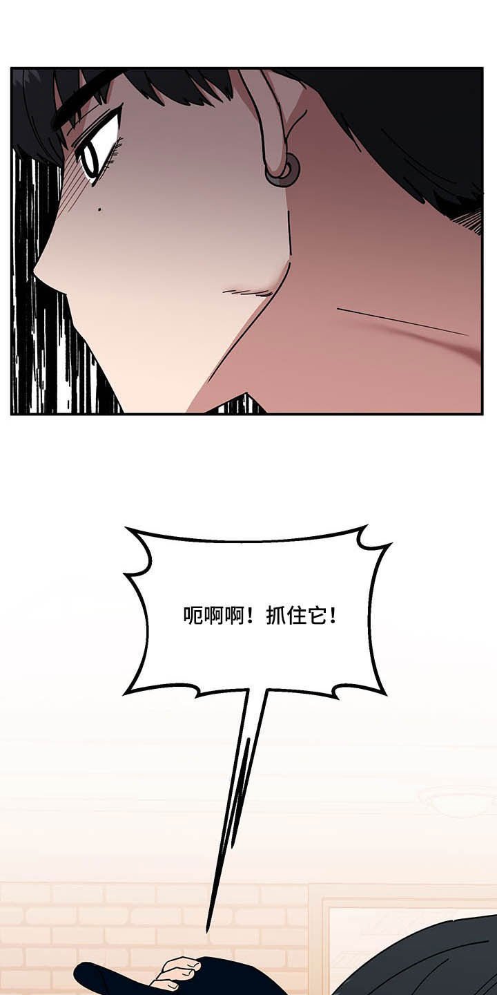 第24章：摄像机