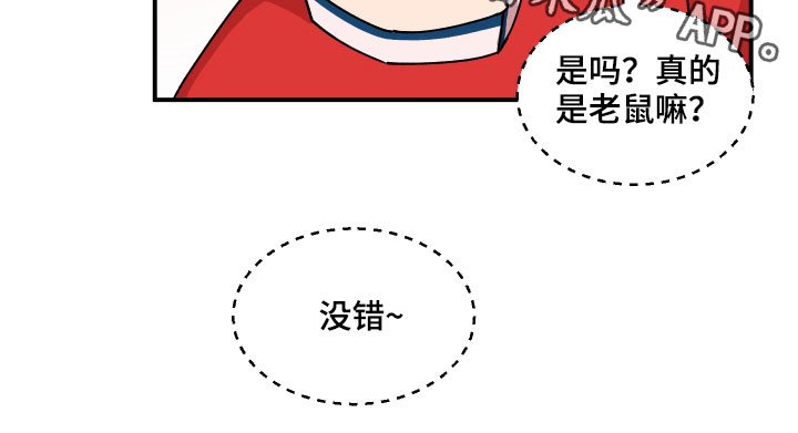 第28章：异响
