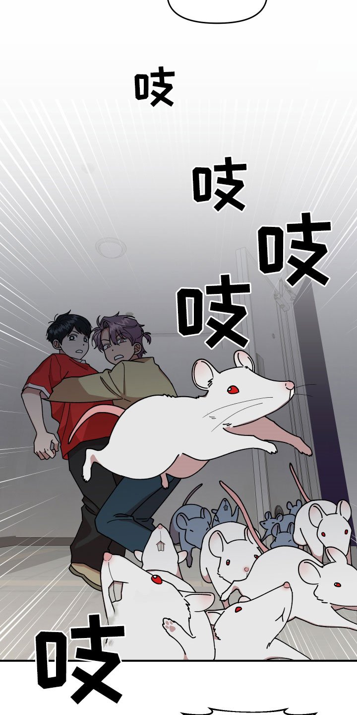 第29章：房间的秘密
