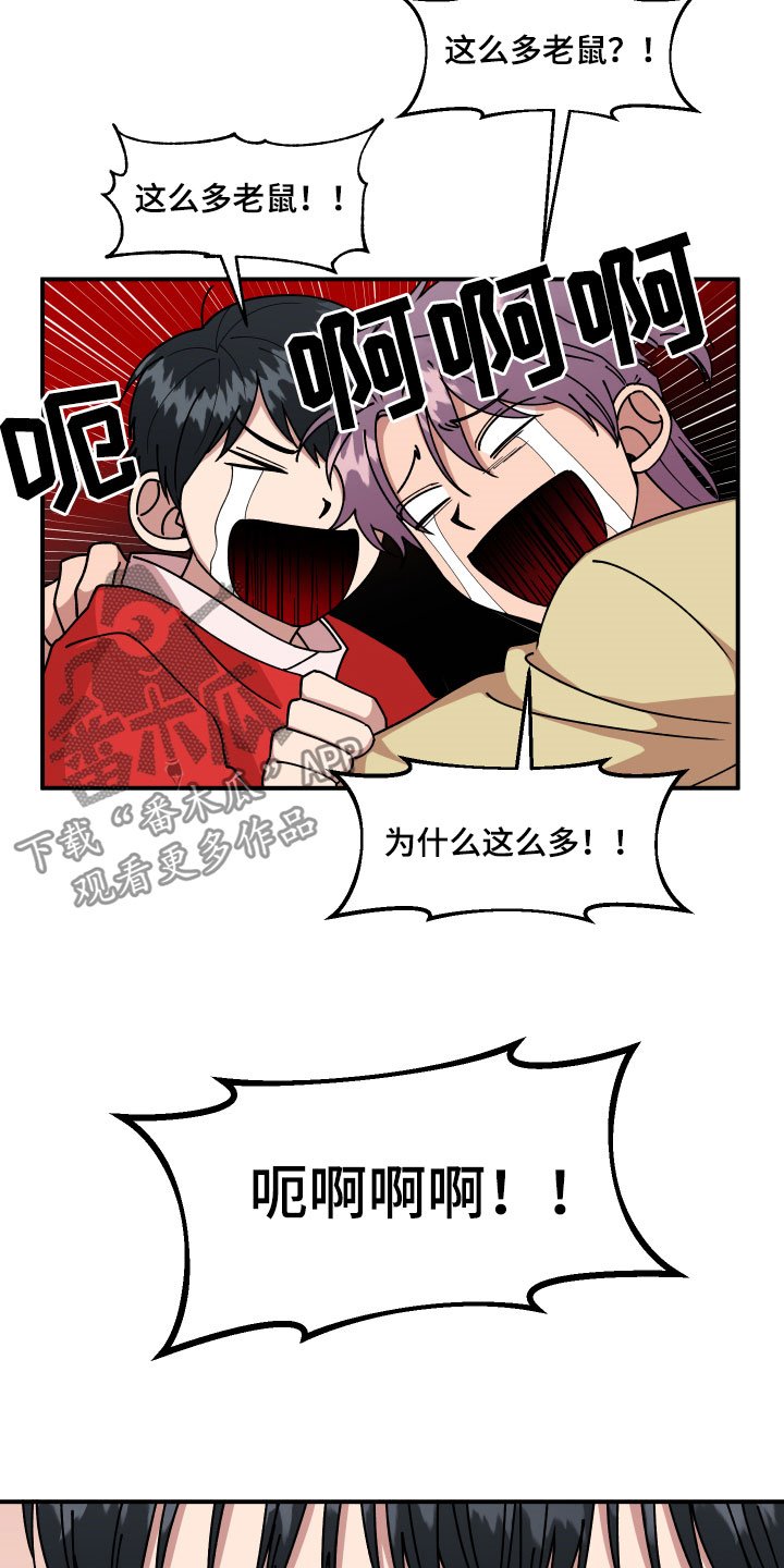 第29章：房间的秘密
