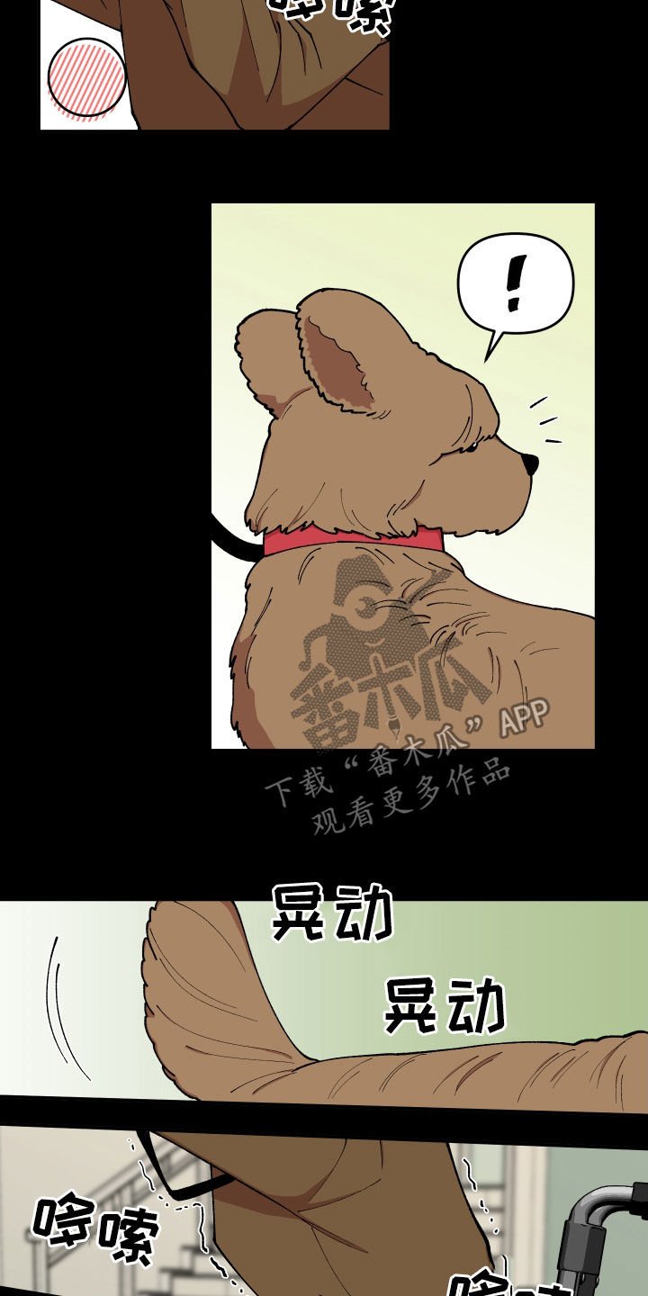 第42章：狗主人