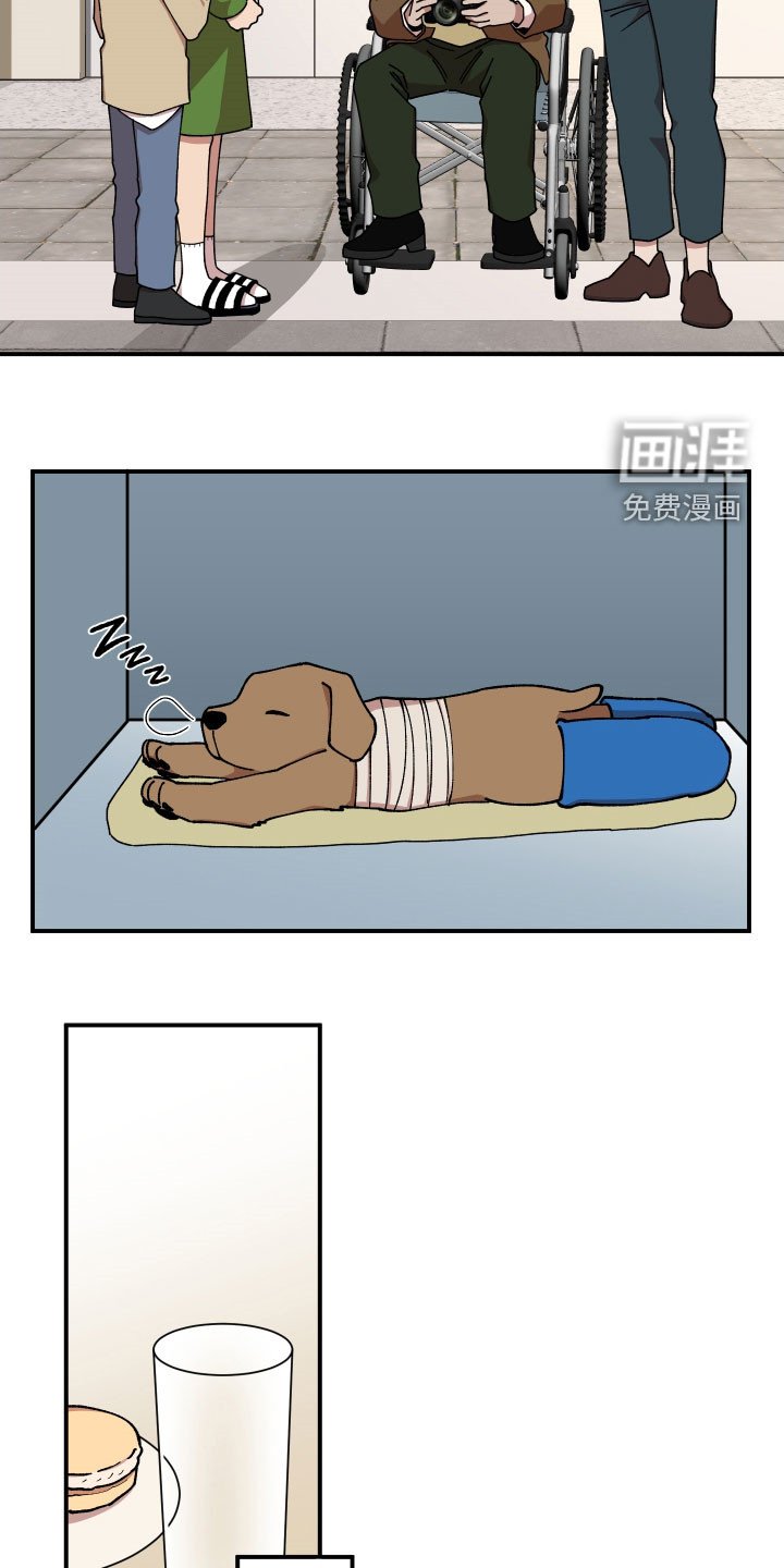 第46章：复杂的感情