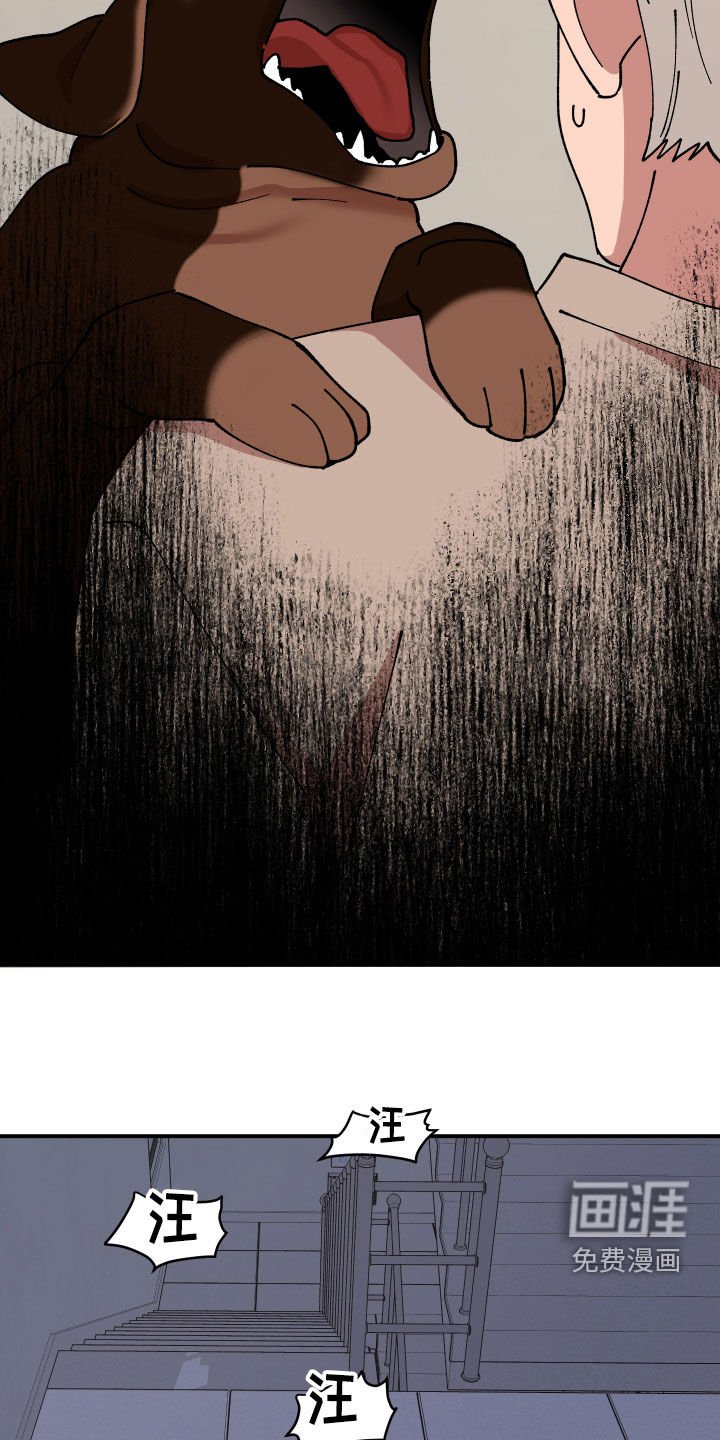 第51章：追踪