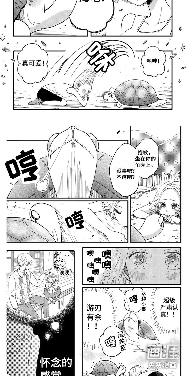 第7章：海龟