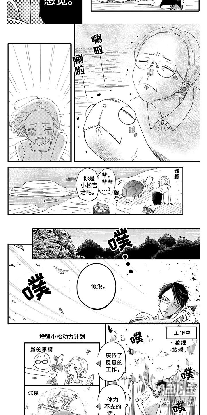 第7章：海龟