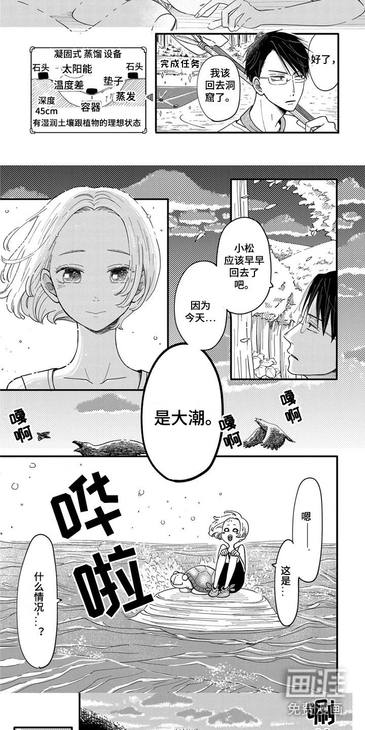 第7章：海龟