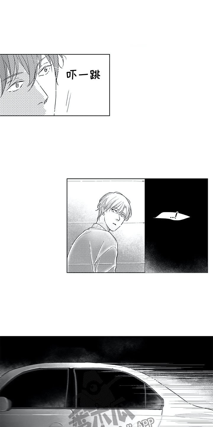 第18章：猫咪