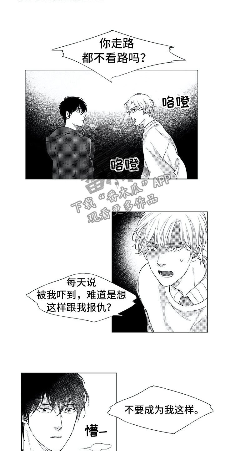 第18章：猫咪