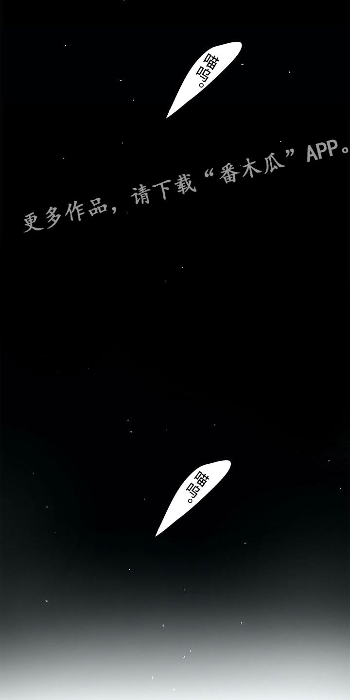 第18章：猫咪