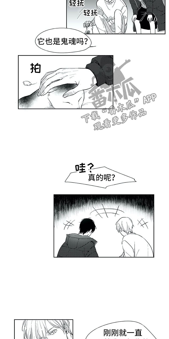 第18章：猫咪