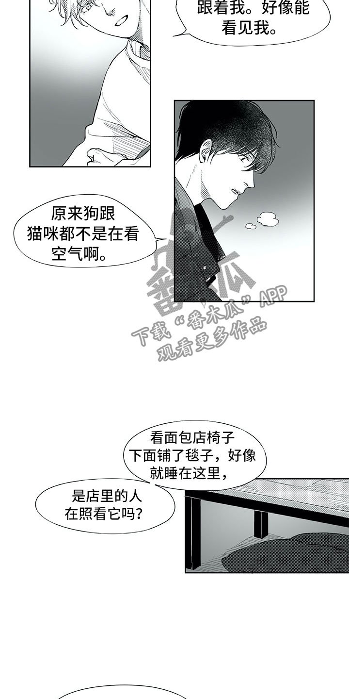 第18章：猫咪
