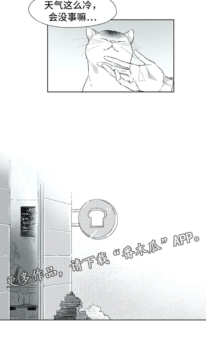 第18章：猫咪