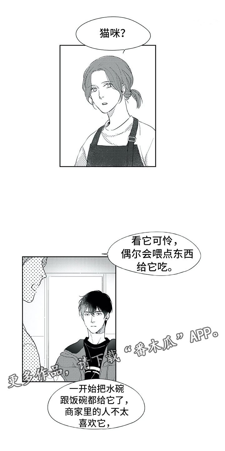 第19章：心乱
