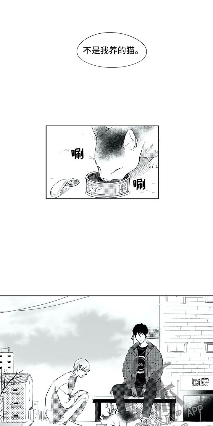第19章：心乱