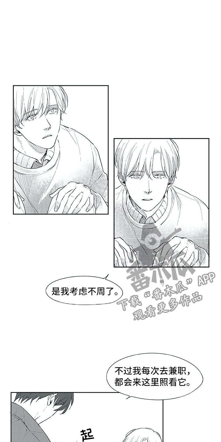 第19章：心乱
