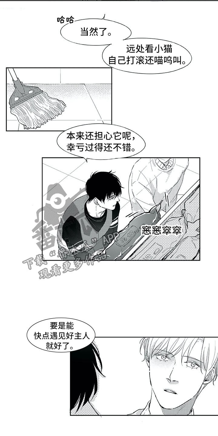 第19章：心乱