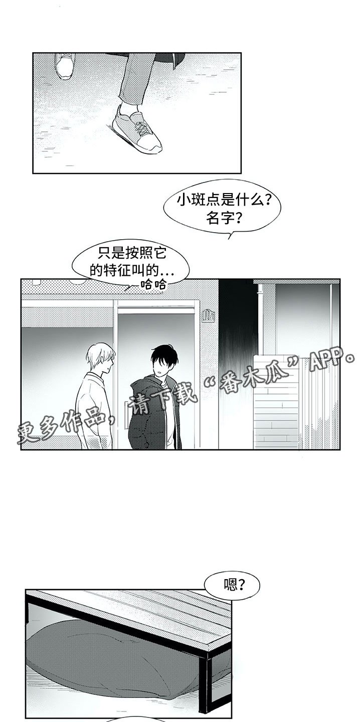 第24章：笑容