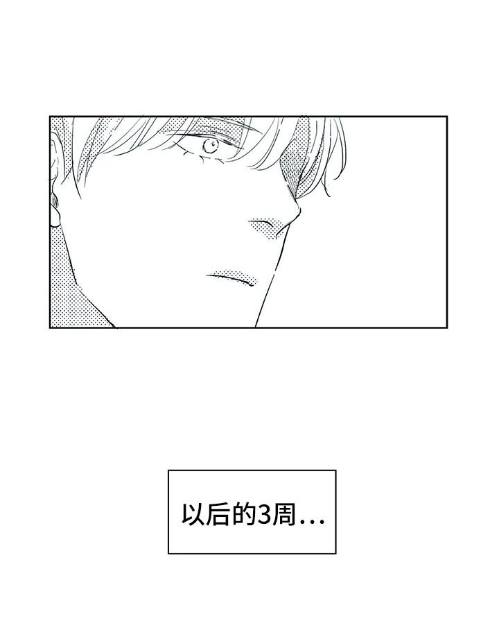 第28章：三周