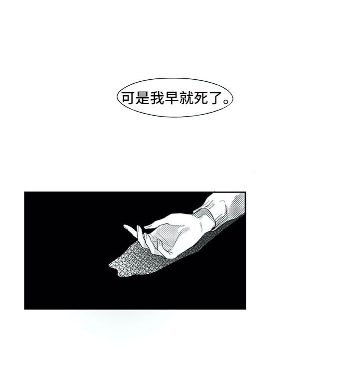 第29章：时间
