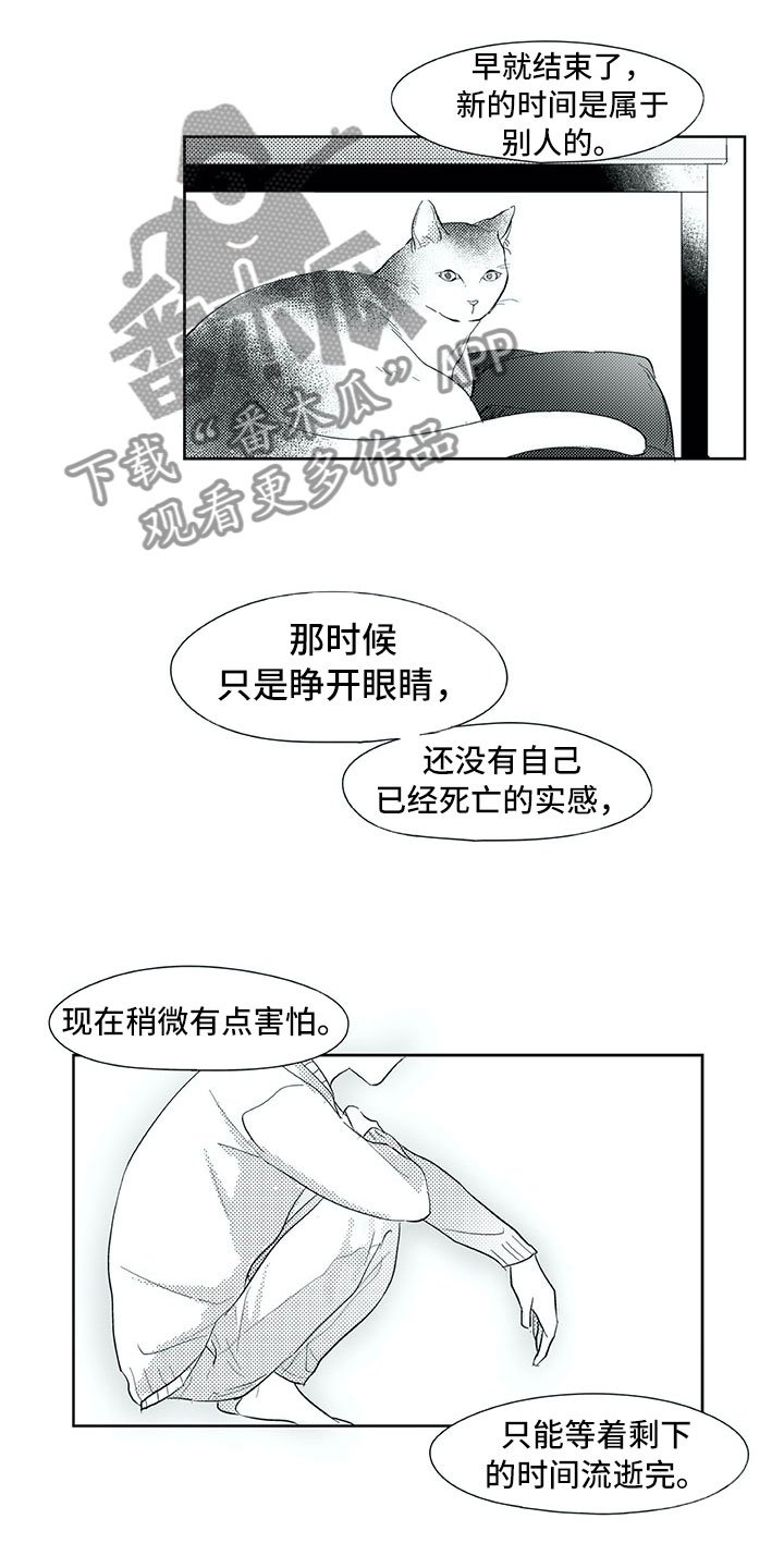 第29章：时间