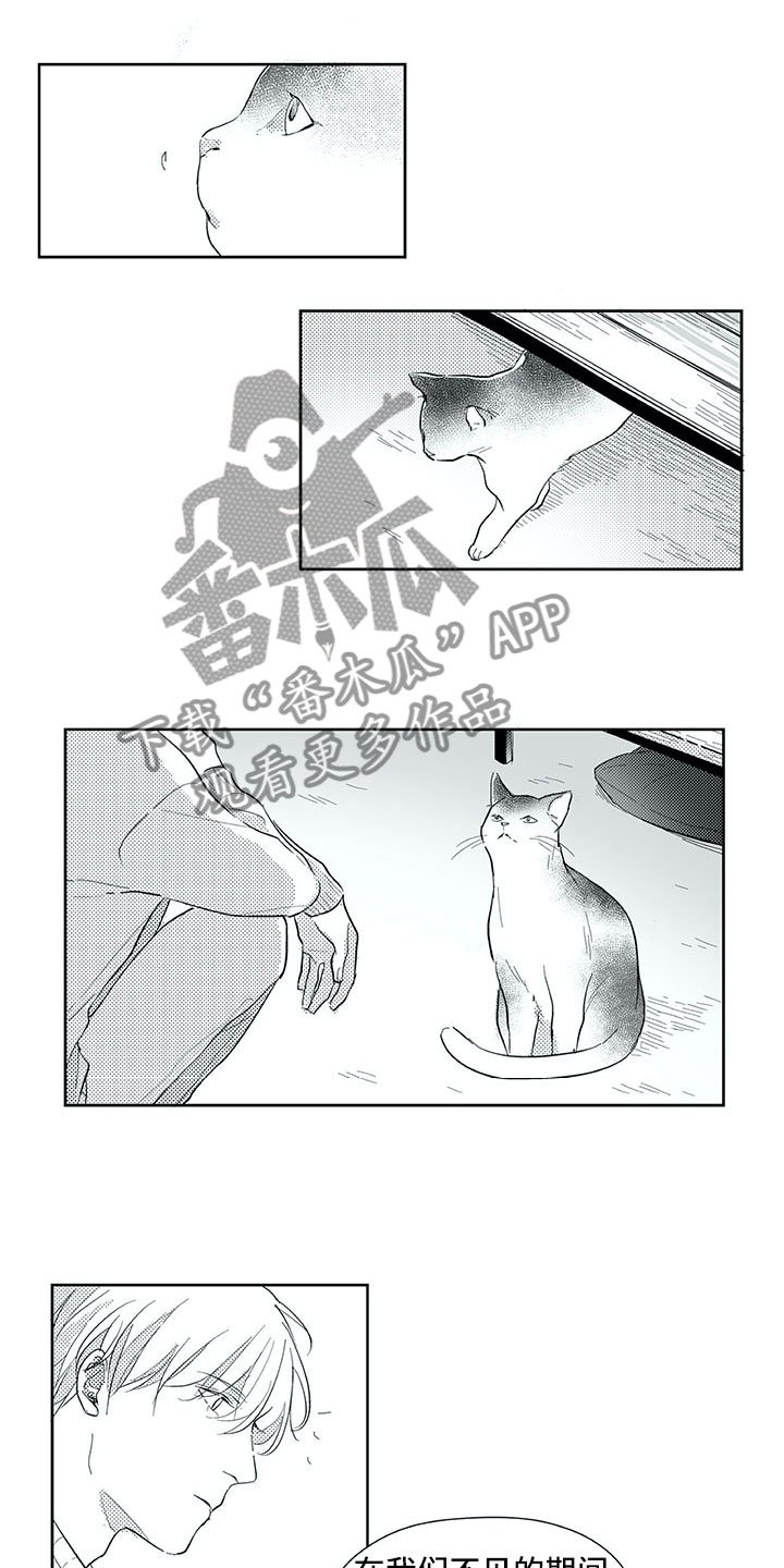 第29章：时间