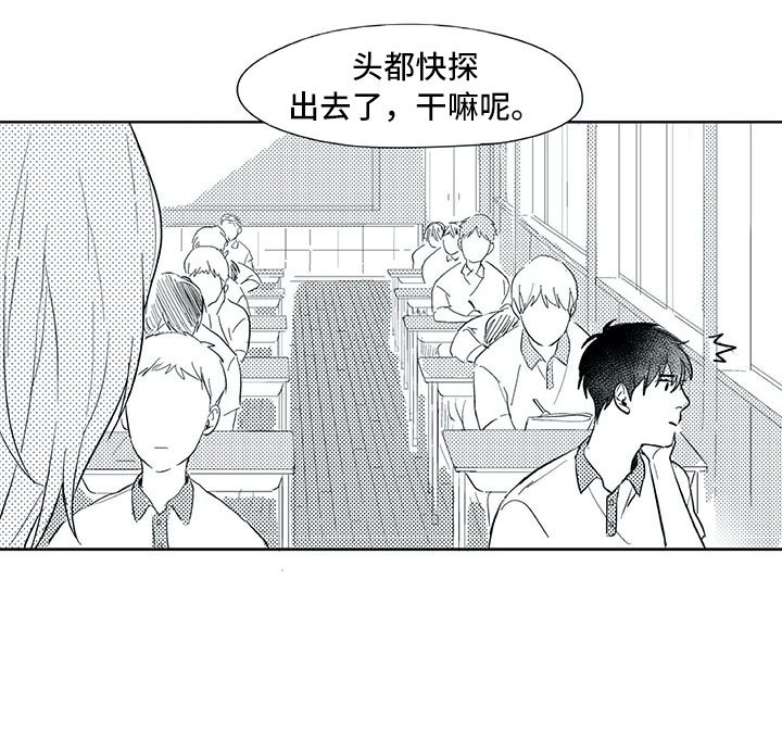 第32章：看见