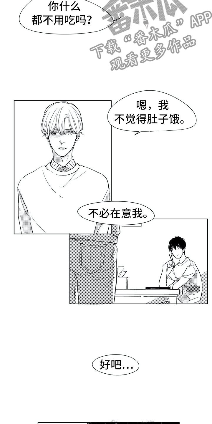 第4章：视线