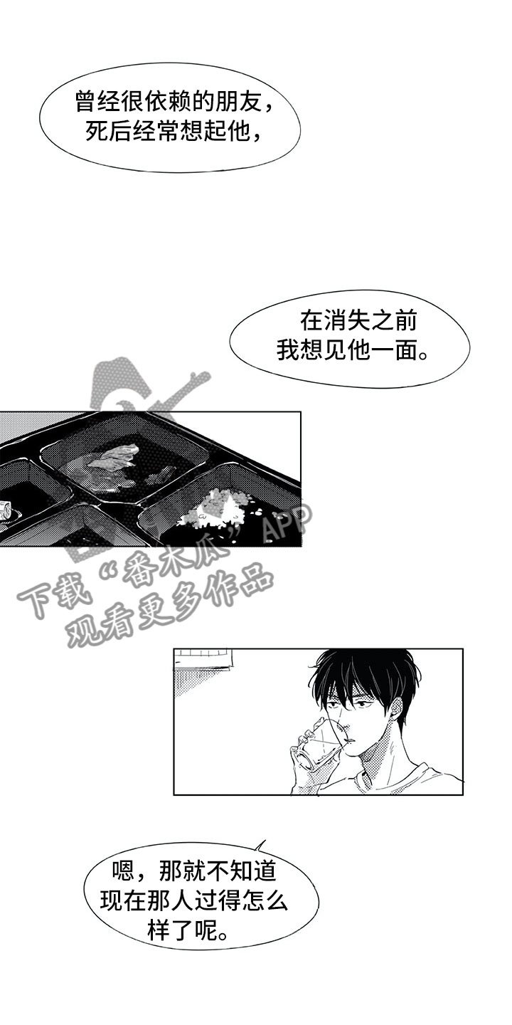 第4章：视线