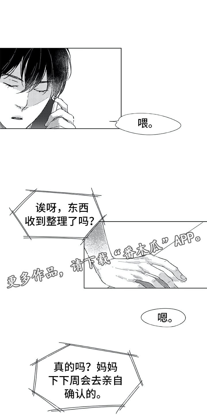 第6章：电话