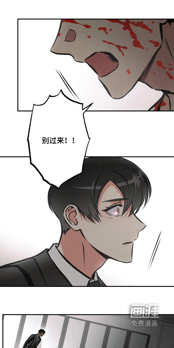 第113章：【第三季】我们回去吧
