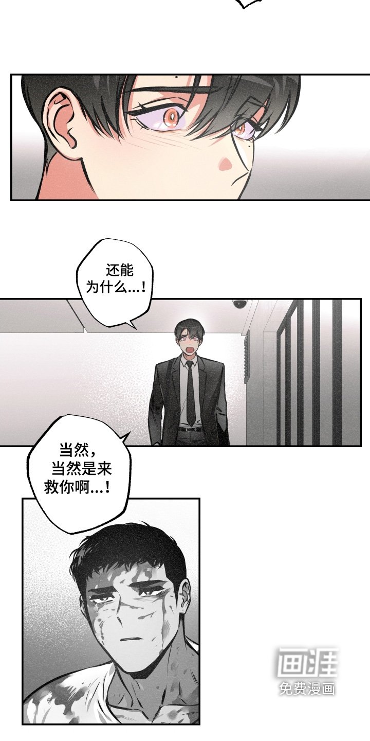 第113章：【第三季】我们回去吧
