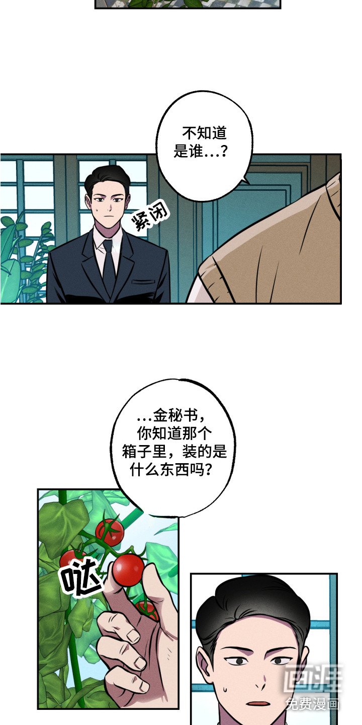 第12章：着手调查