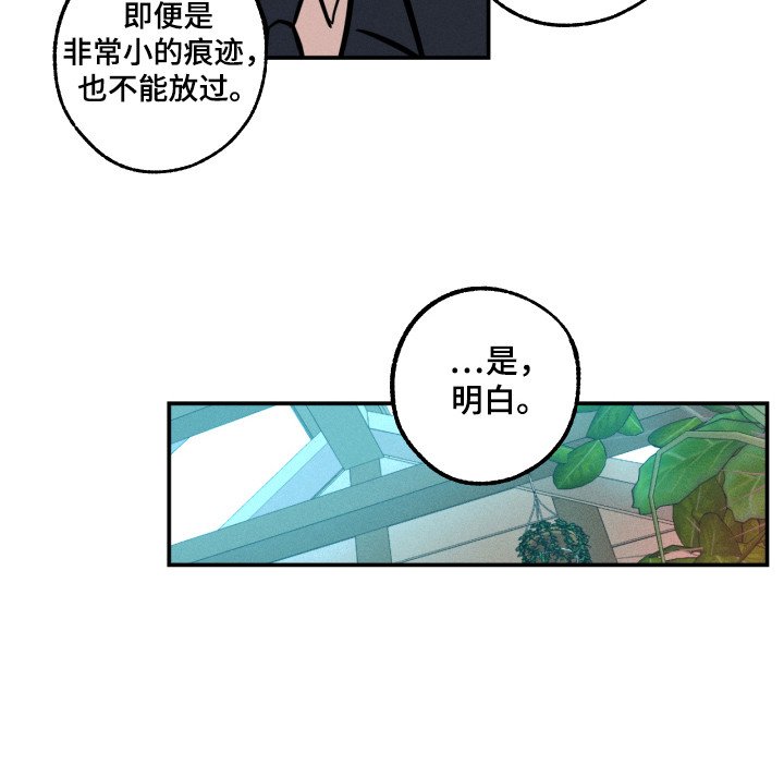 第12章：着手调查