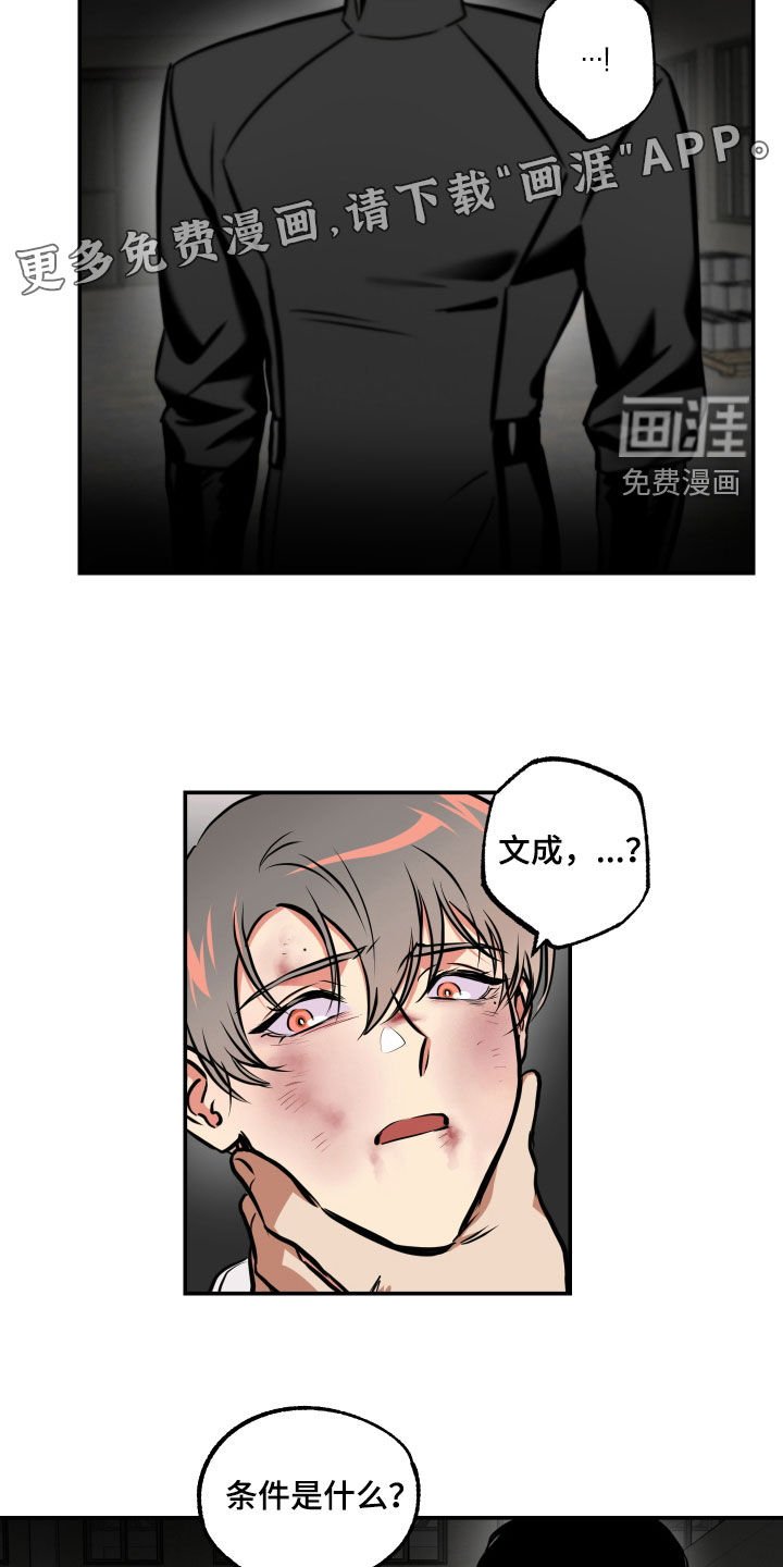 第55章：条件