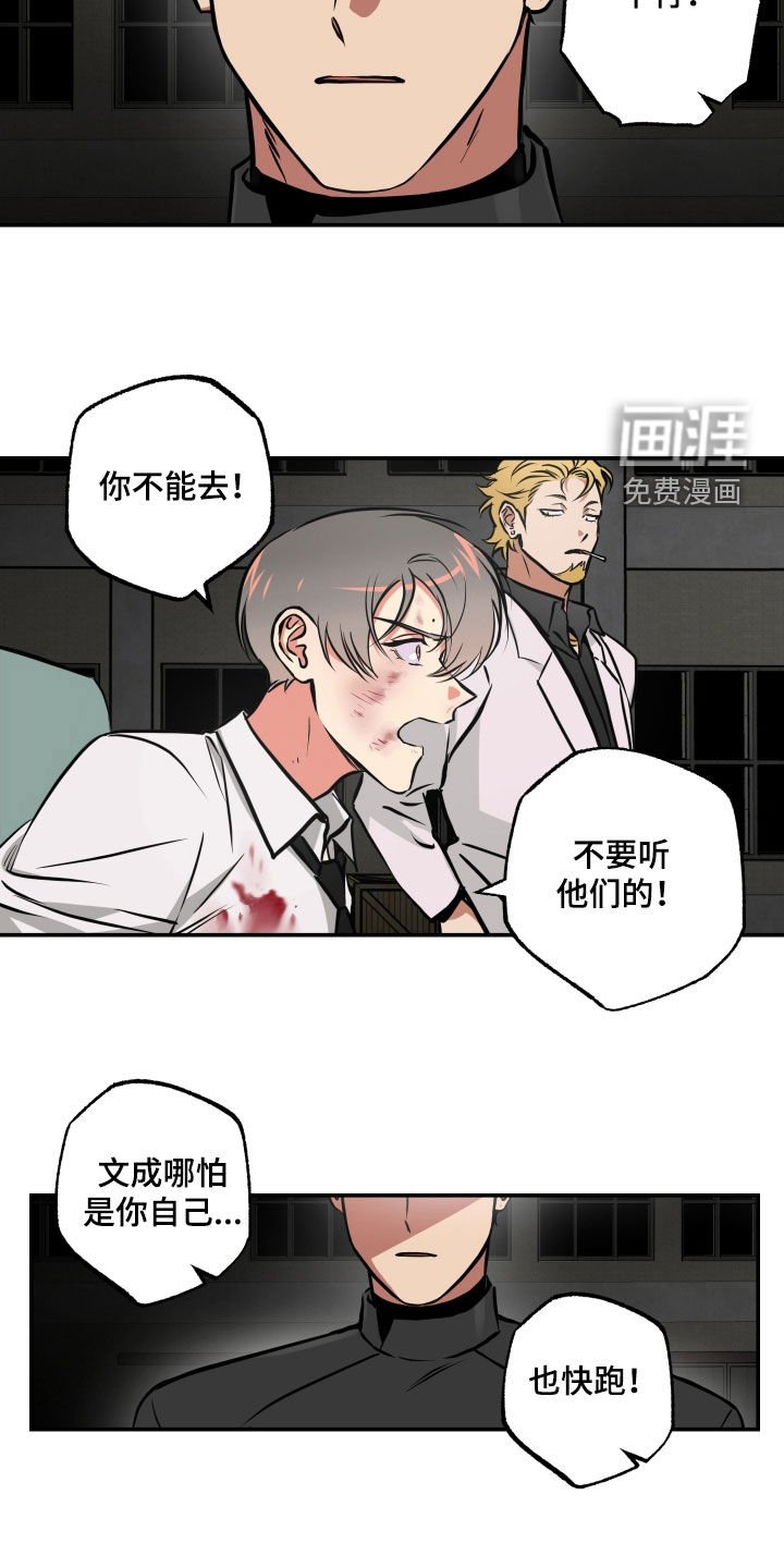 第55章：条件